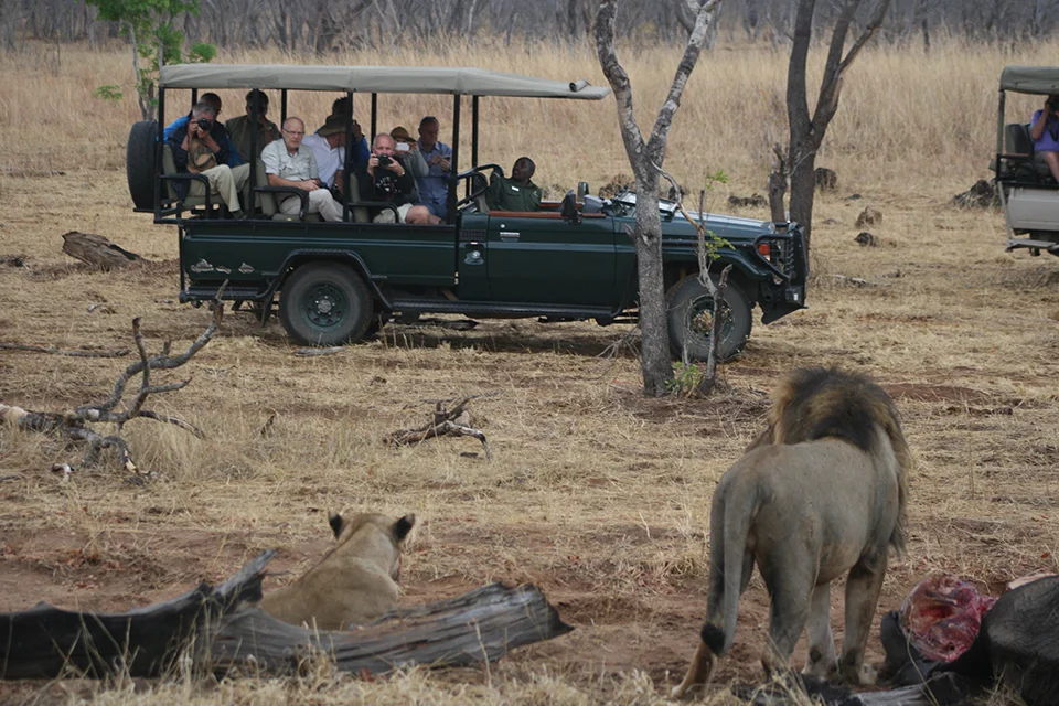 Safari guests photograph a pair of lions from an open vehicle during a game drive in Chobe National Park, Botswana