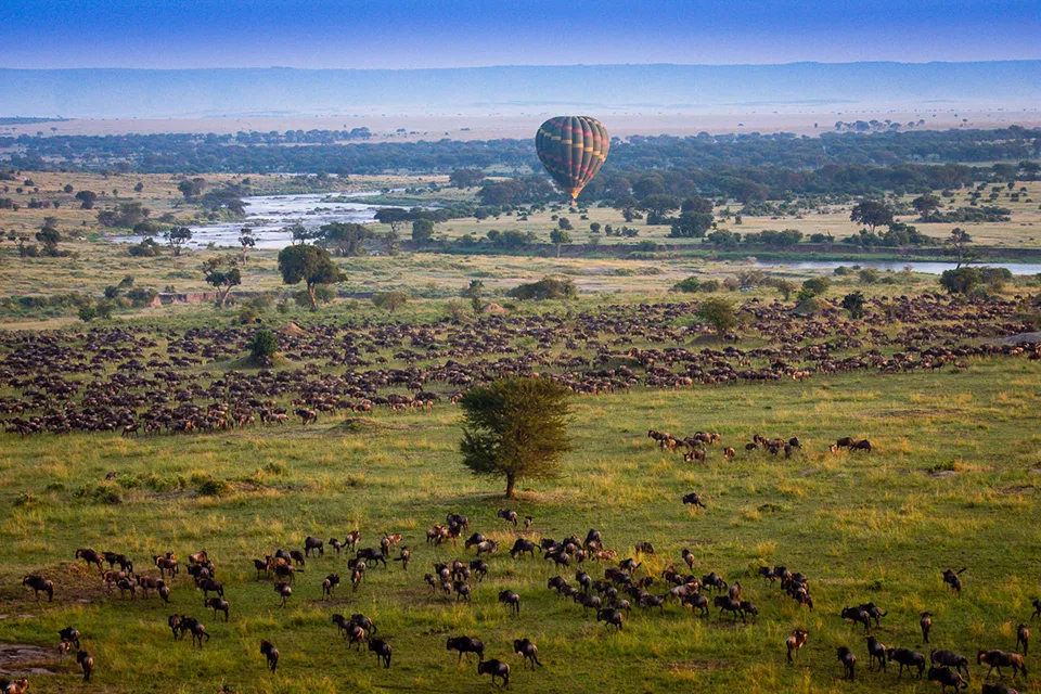 Hot air balloon floating above the Great Migration in the Serenget