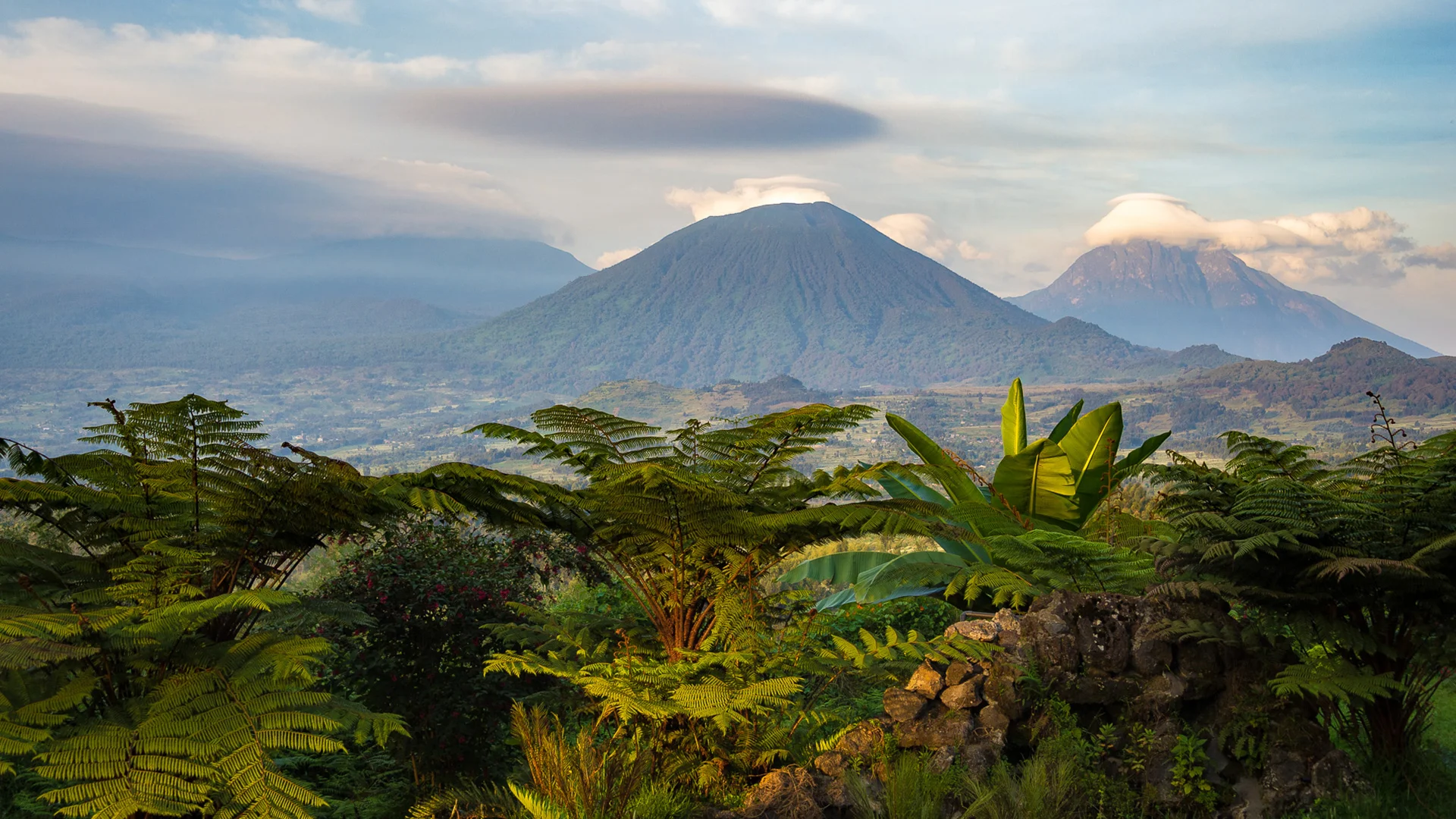 Lush tropical vegetation frames a view of Rwanda’s Virunga volcanoes, with cloud-capped volcanic peaks rising above a patchwork of valleys and forests