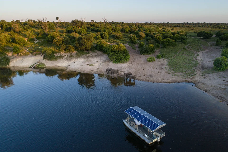 Solar-powered safari boat cruising the Chobe River as elephants drink from the riverbank in Chobe National Park, Botswana