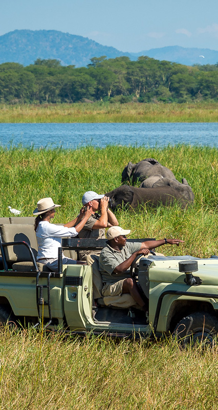 Luxury Malawi safari