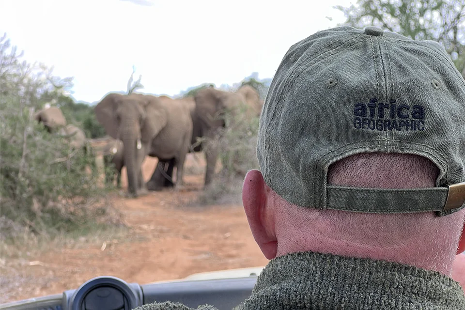 Guest on a safari vehicle watching a herd of elephants in the South African bush
