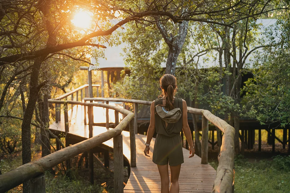 Guest walking along a raised boardwalk to a luxury safari lodge in South Africa