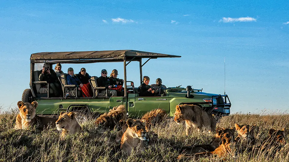 safari vehicle in the serengeti