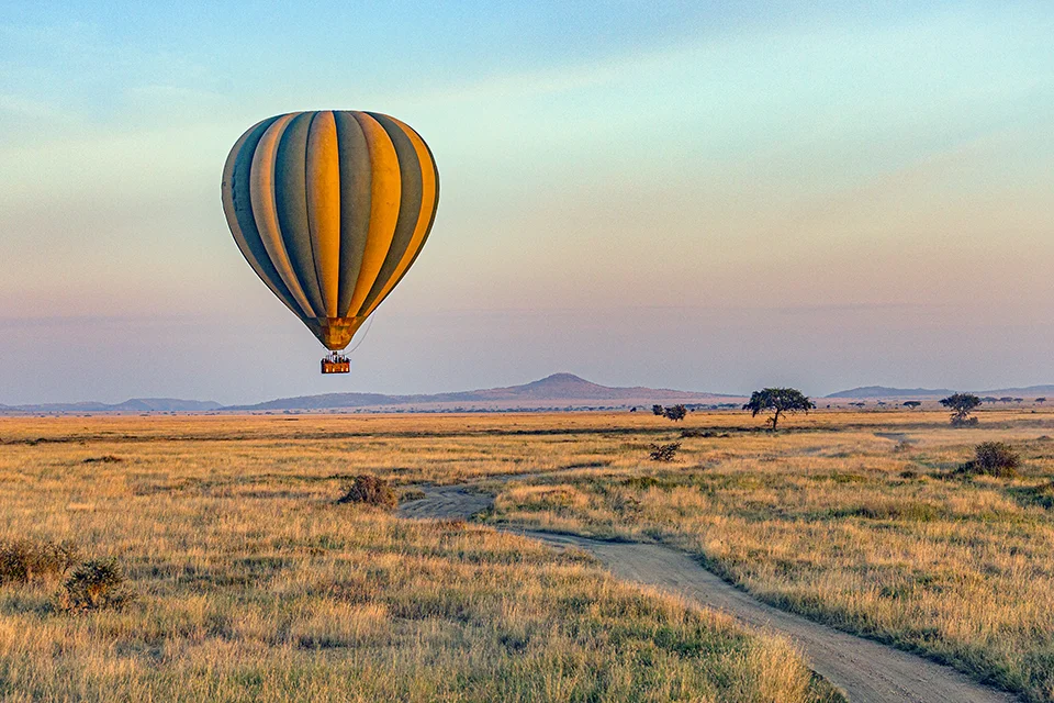 Hot air balloon floating above the Serengeti plains at sunrise, Tanzania