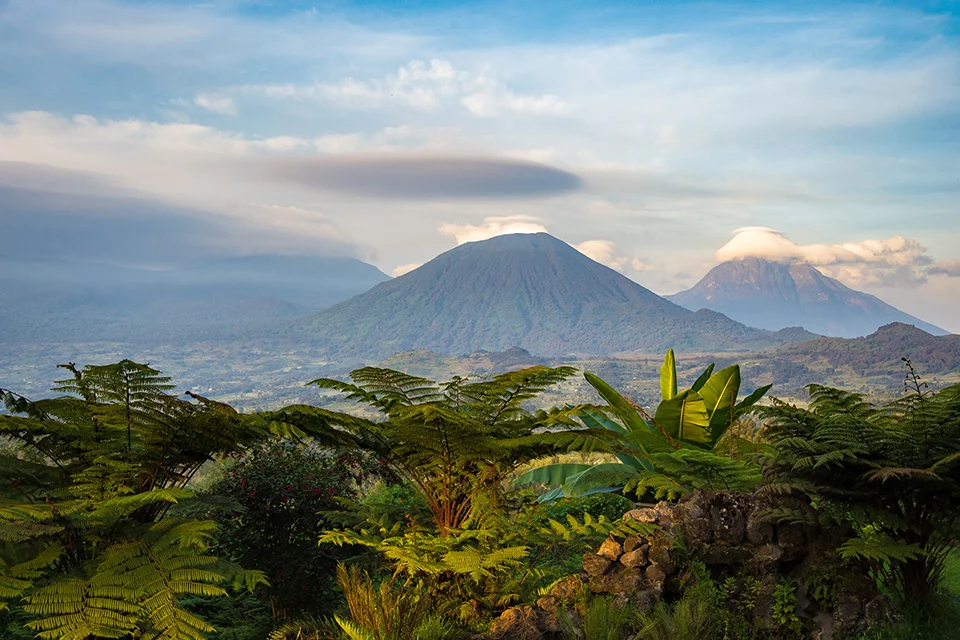 Panoramic view of Rwanda’s Volcanoes National Park, with mist-shrouded volcanic peaks rising above tropical forest and verdant highland vegetation.