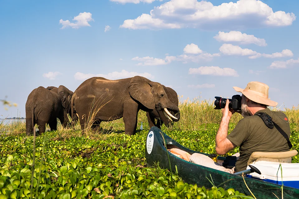 Safari guest photographing elephants from a canoe on a wetland channel