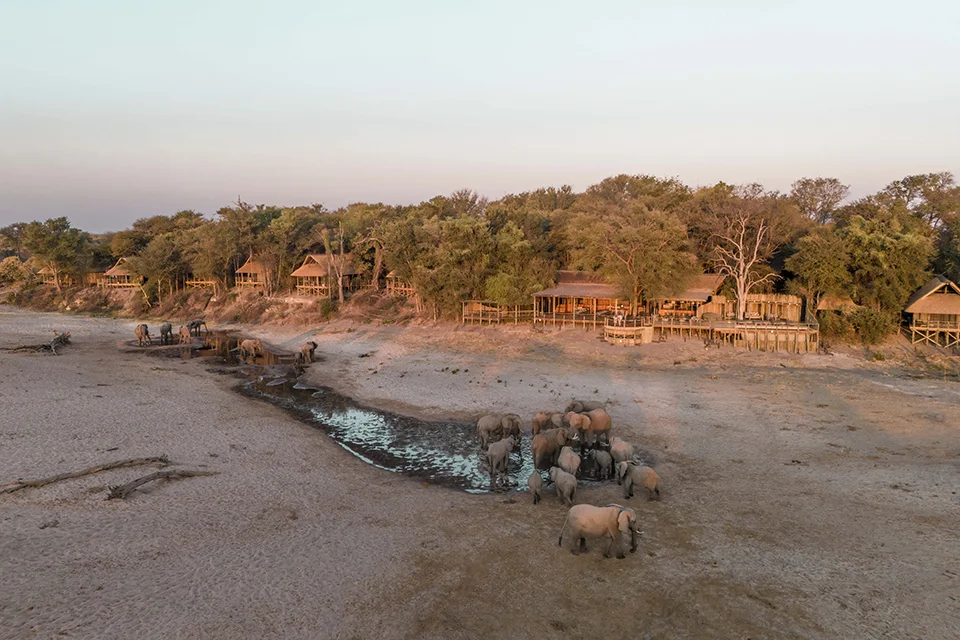 Elephants gathered at a waterhole in front of Savute Safari Lodge