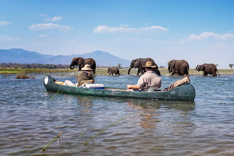 Canoe safari guests watching elephants cross the water near Vundu Camp in Mana Pools National Park, Zimbabwe