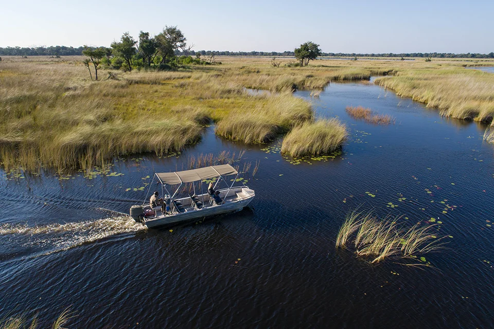 Guests on a motorboat safari through the waterways of the Okavango Delta