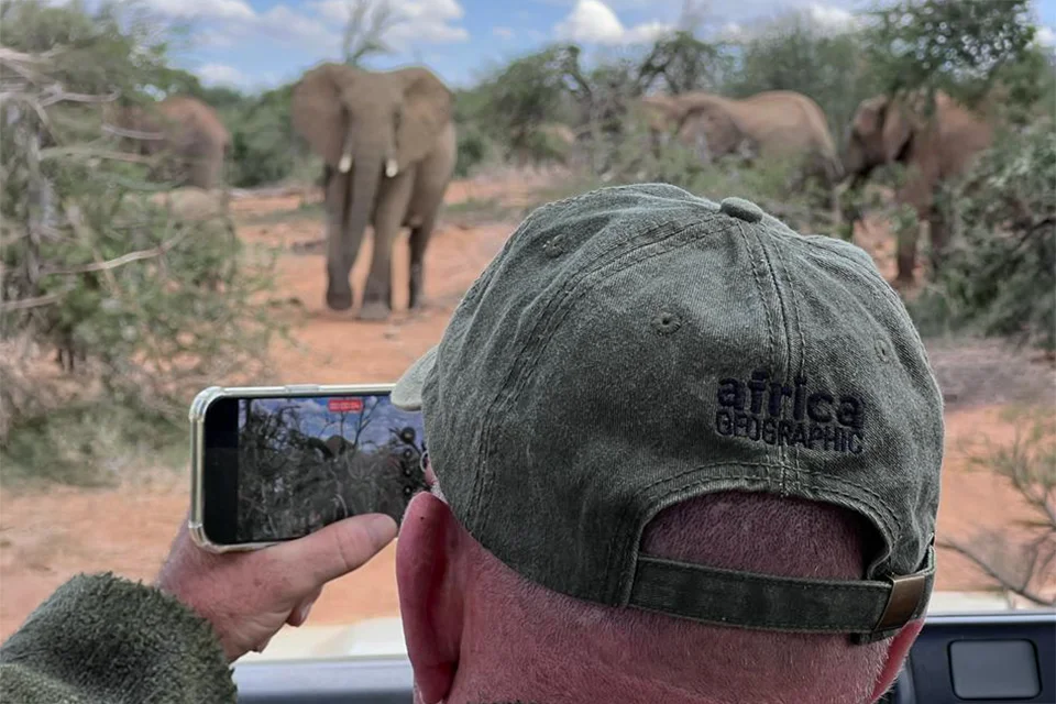 Guest photographing a herd of elephants from a safari vehicle