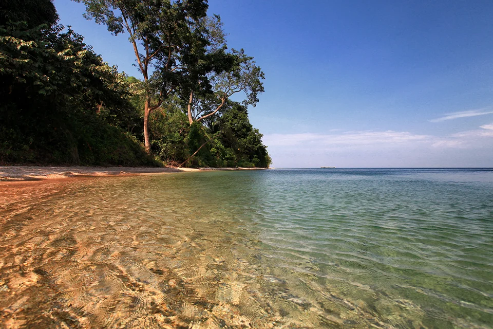 The clear waters of Lake Tanganyika lap against a sandy beach bordered by forest in Gombe National Park, Tanzania, under a bright blue sky