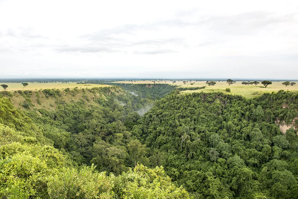 Panoramic view of Kyambura Gorge's forested valley in Queen Elizabeth National Park, Uganda