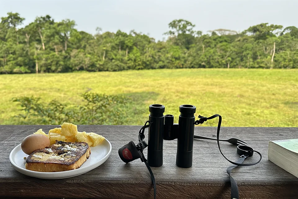 Breakfast and binoculars overlooking a forest clearing in Odzala-Kokoua National Park, Republic of the Congo