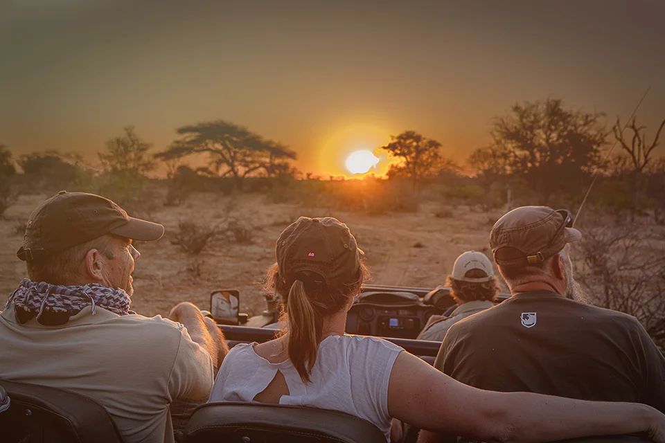 Guests enjoying a sunset game drive through the African bush during a safari adventure