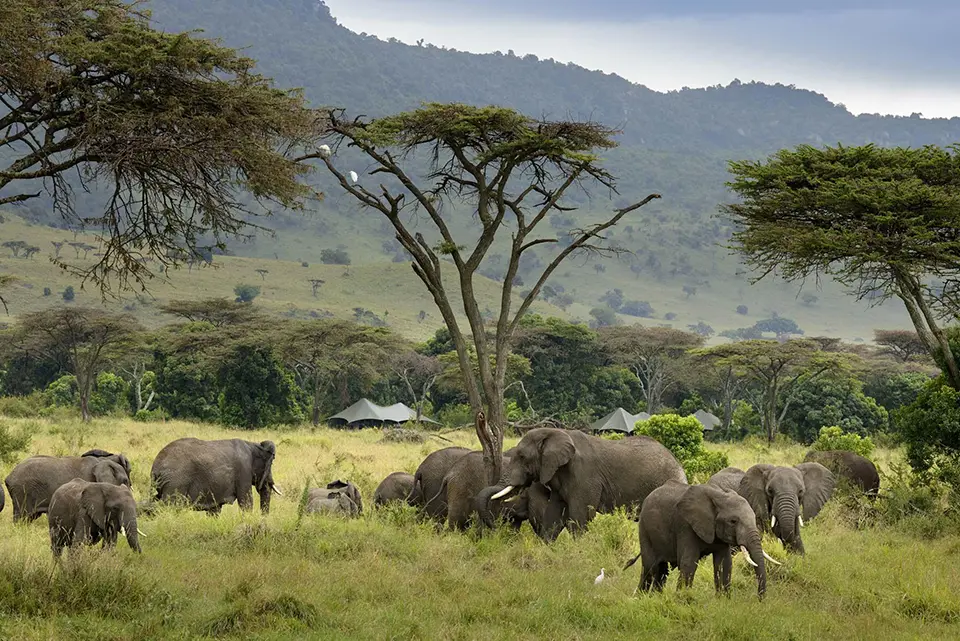 Africa's best safari destinations