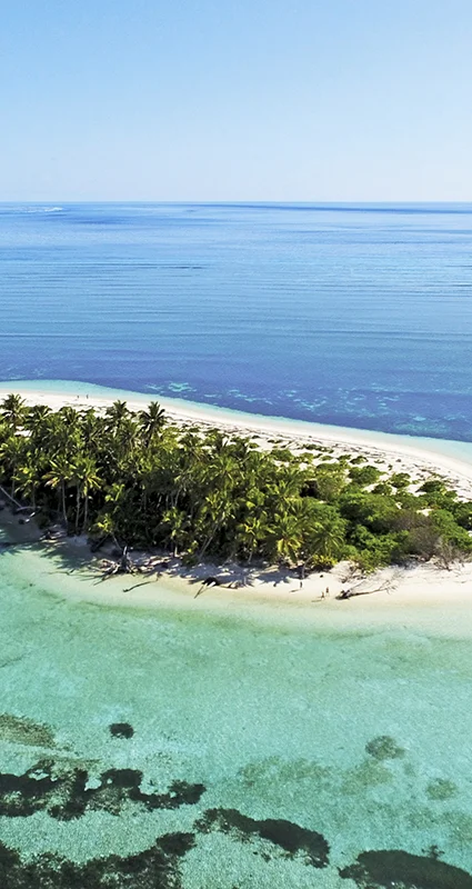 Island holidays bush and beach