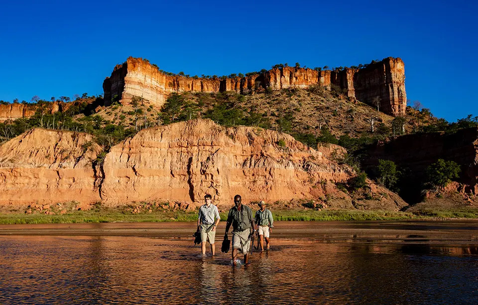 African safari safety