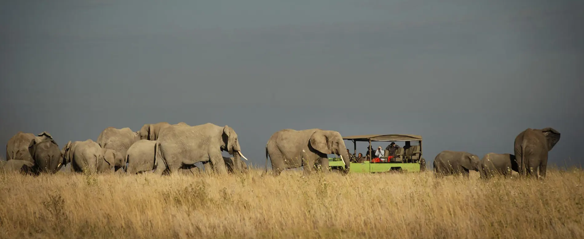 Luxury Tanzania safari
