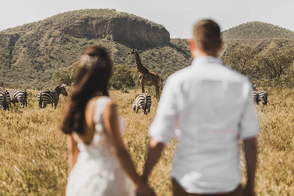 Couple hold hands while watching zebras and a giraffe on an African savanna, enjoying a romantic wildlife encounter against a backdrop of rugged hills.