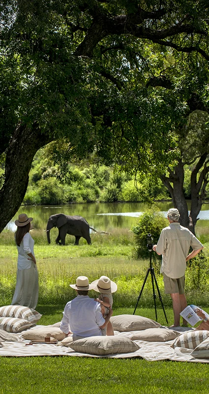 Family enjoying a luxury picnic on the lawn while watching an elephant grazing beside a river on safari