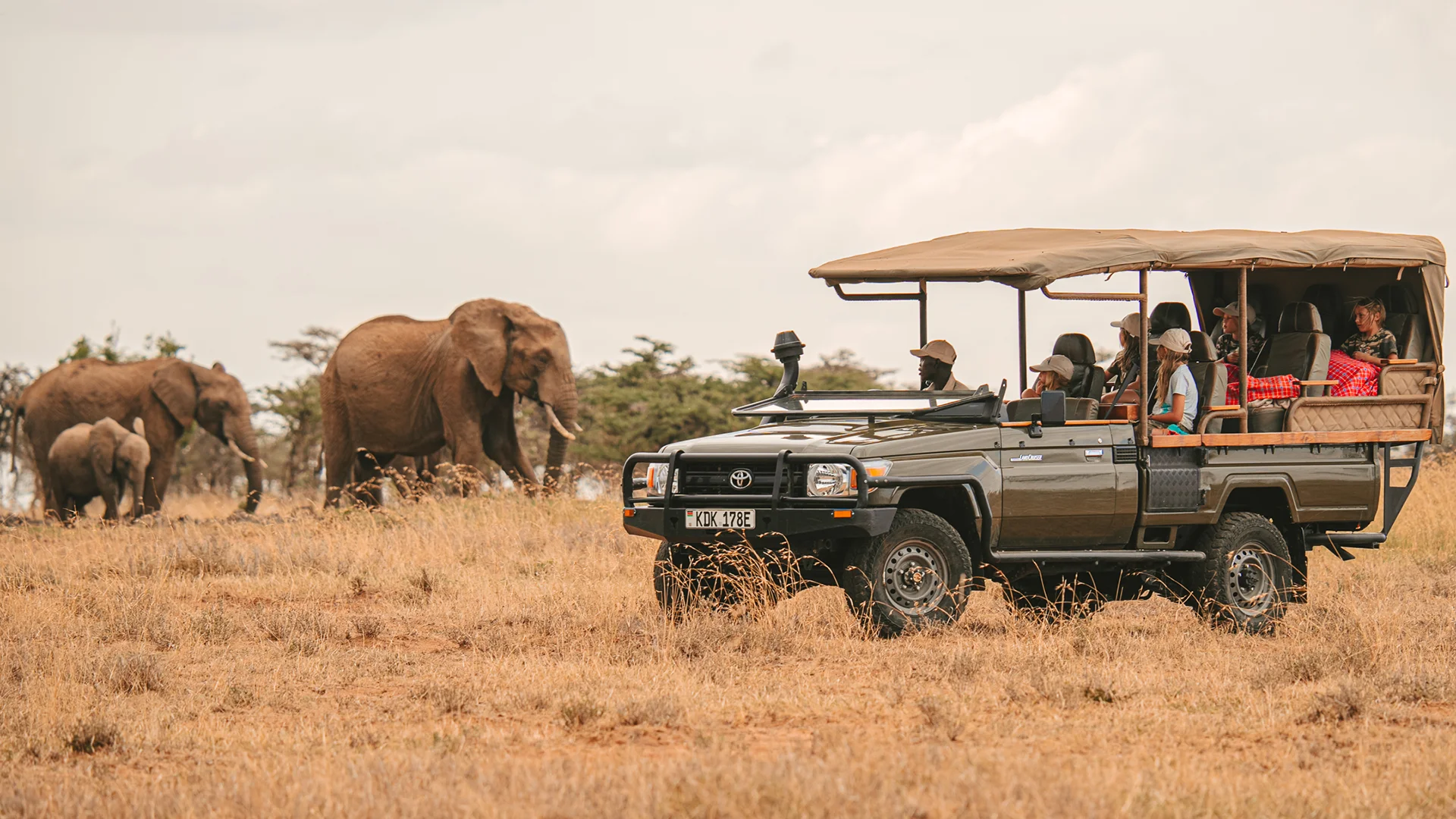 Guests watching elephants from a safari vehicle during a game drive at El Karama Lodge, Laikipia, Kenya
