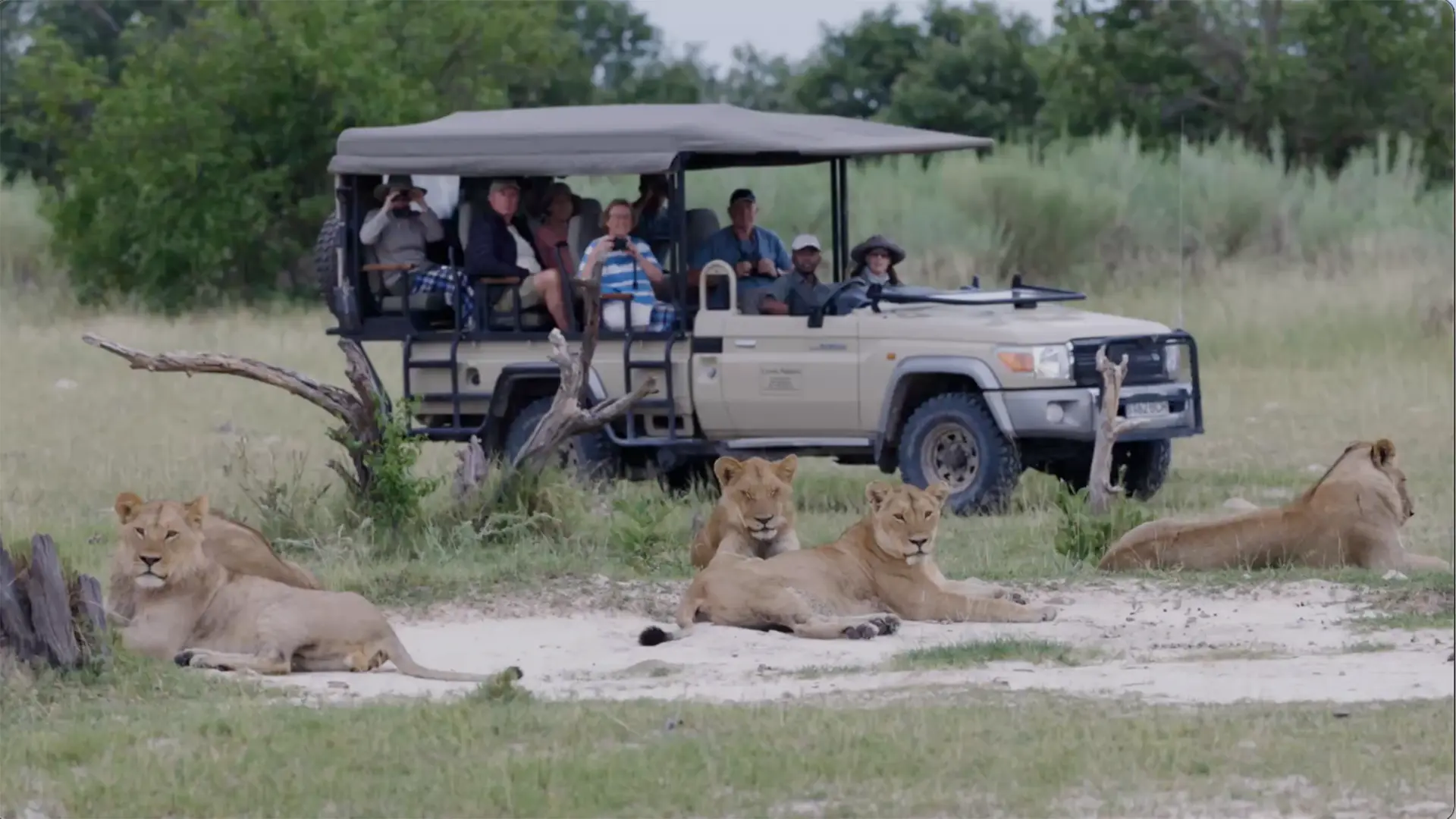 Company incentive trips to Africa