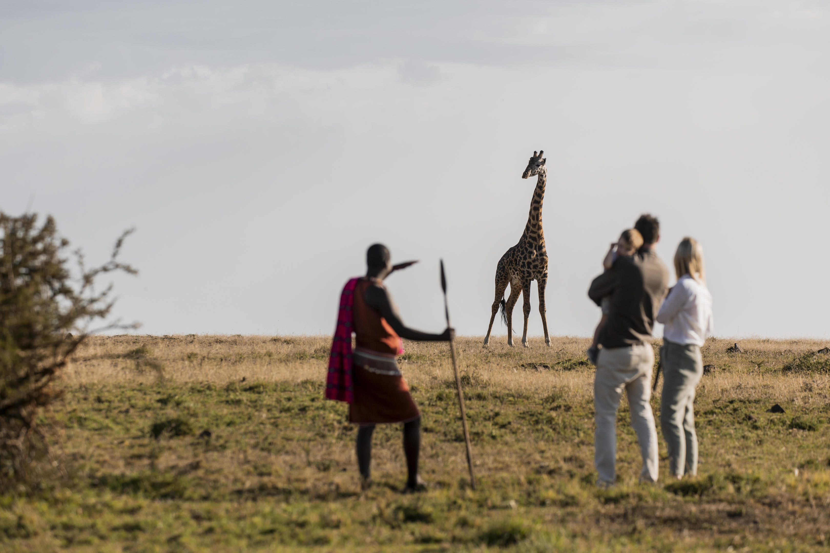 Safari walk