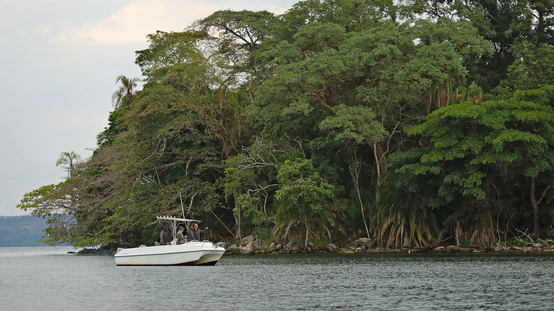 A guided boat excursion travels along the forested shoreline of Rubondo Island, offering visitors a close view of the island's lush tropical habitat from the water