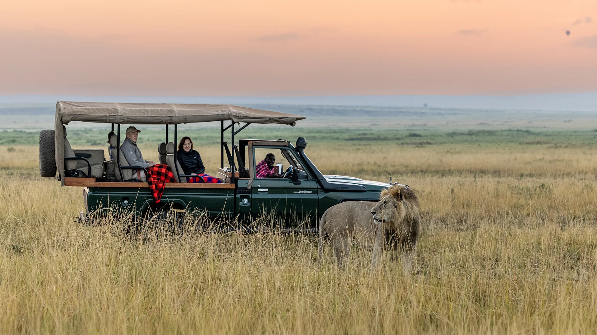 A male lion stands in tall grass beside an open safari vehicle carrying guests, with the African savanna stretching into the distance beneath a soft pink sky