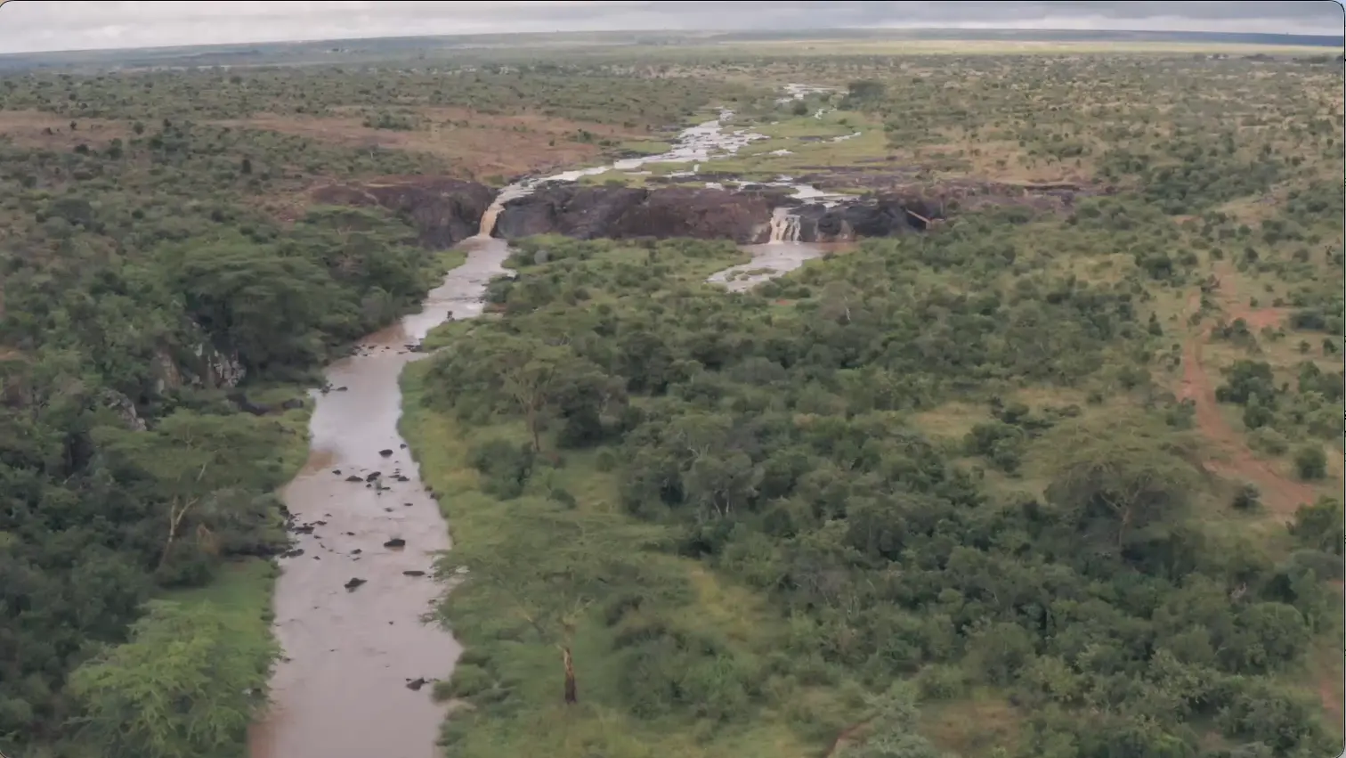 Laikipa Plateau river scene