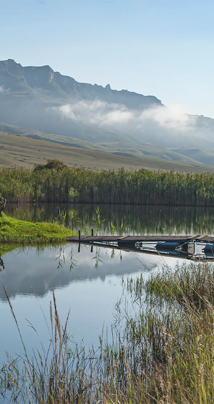 Lake and jetty in the Natal Midlands