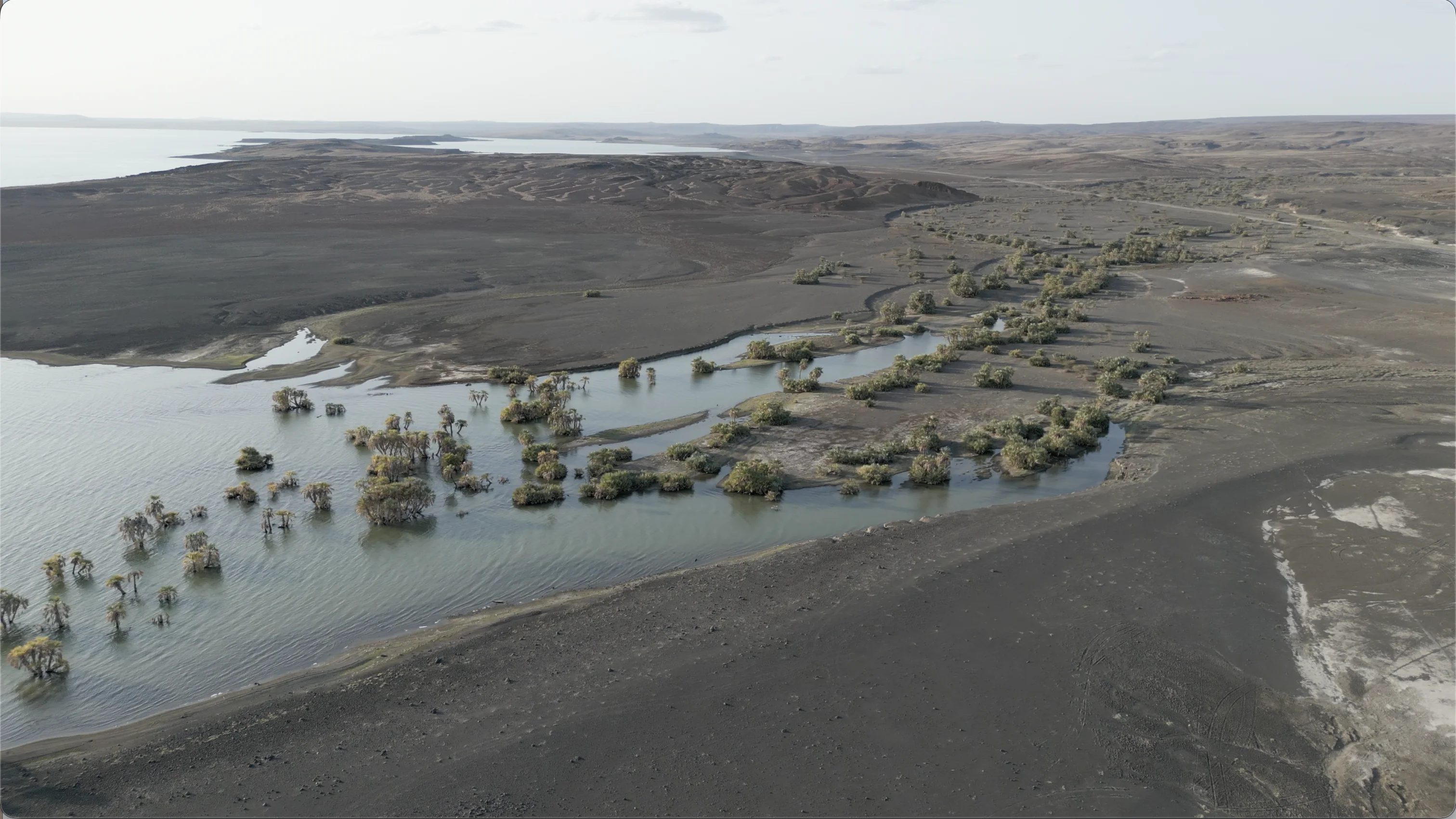 Lake Turkana aerial drone view