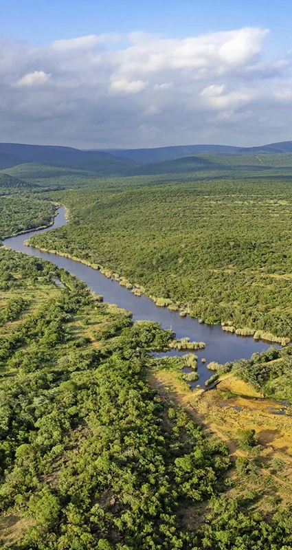 Lapalala Wilderness Reserve safaris