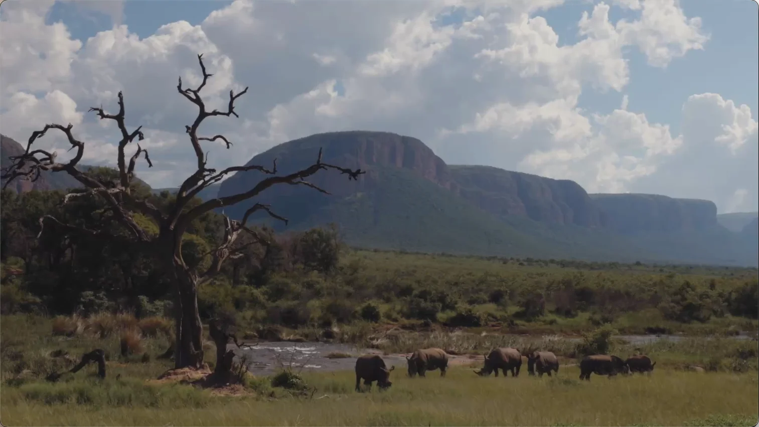 Marataba National Park