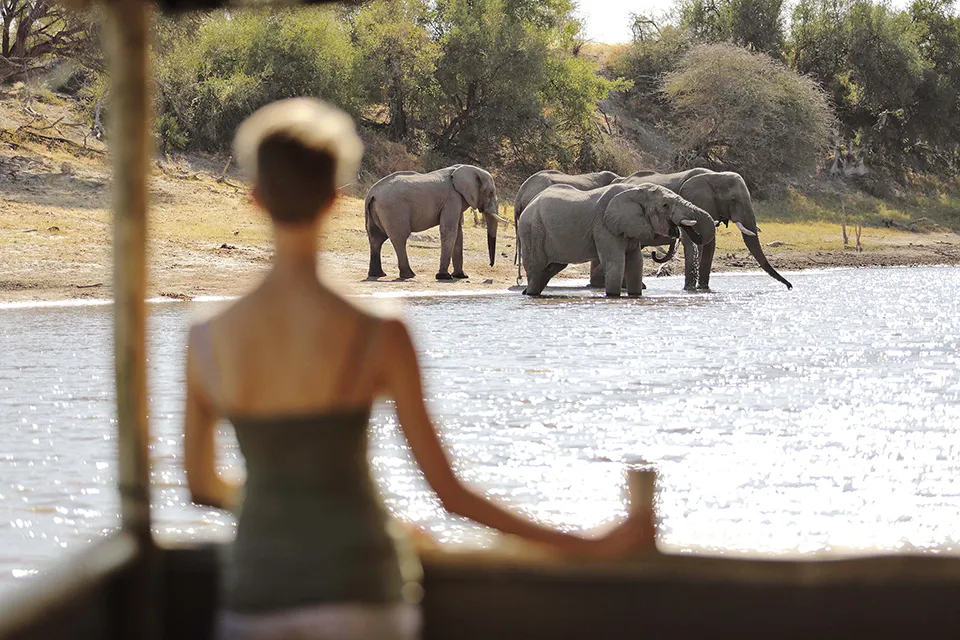 solo safari