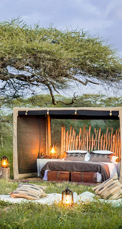 Luxury fly-camping setup beneath a sprawling acacia tree in the Serengeti, with a candlelit dinner and open-front safari tent at dusk