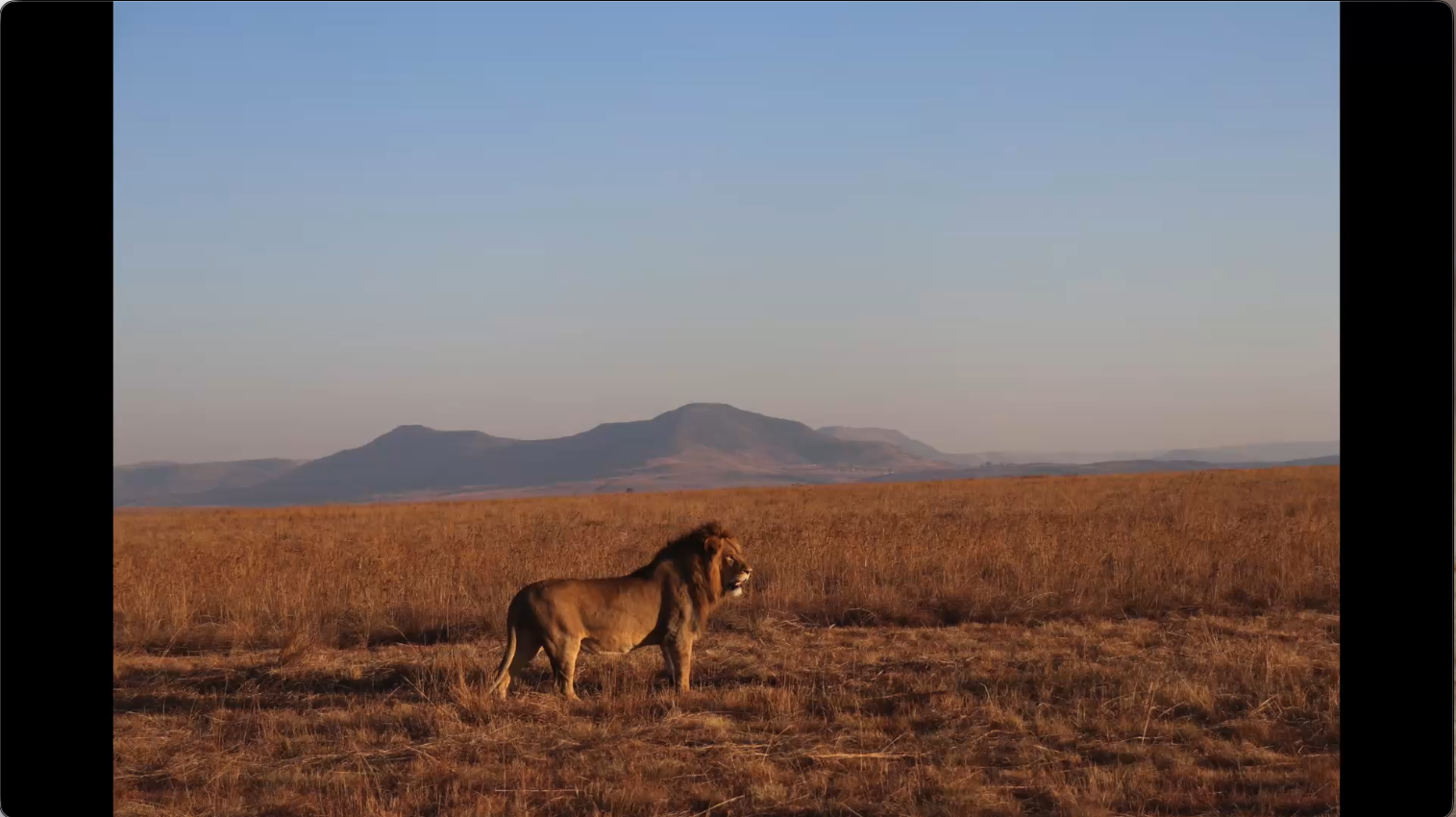 Nambiti Private Game Reserve