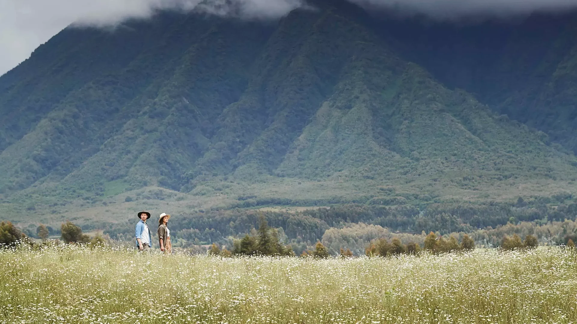 Two guests walking through a wildflower meadow beneath mist-covered mountains near One&Only Gorilla's Nest in Rwanda
