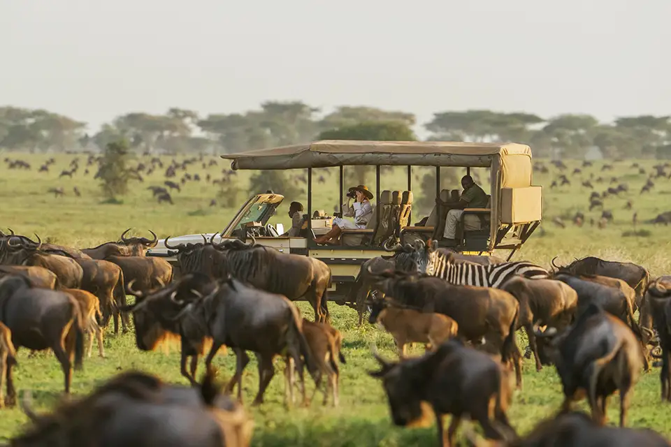 Migration