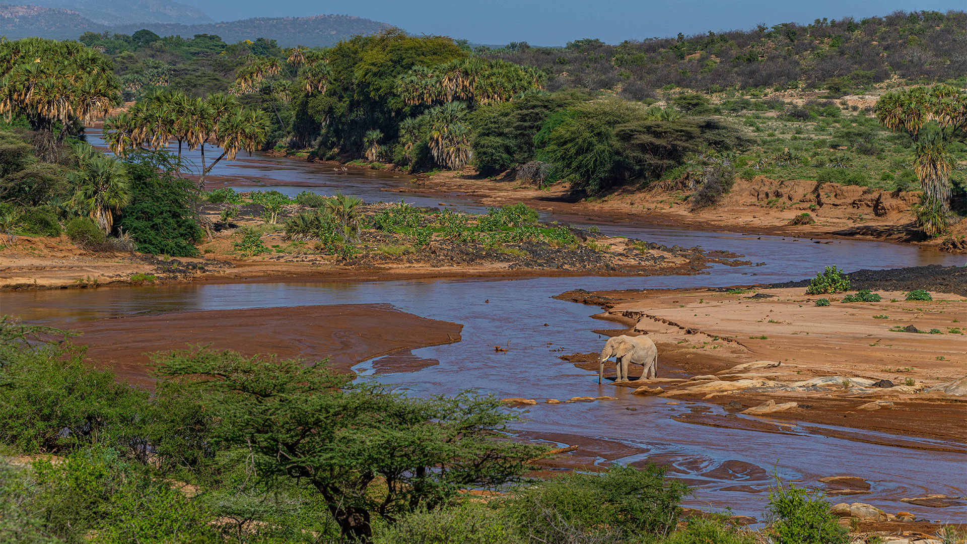 Samburu safari