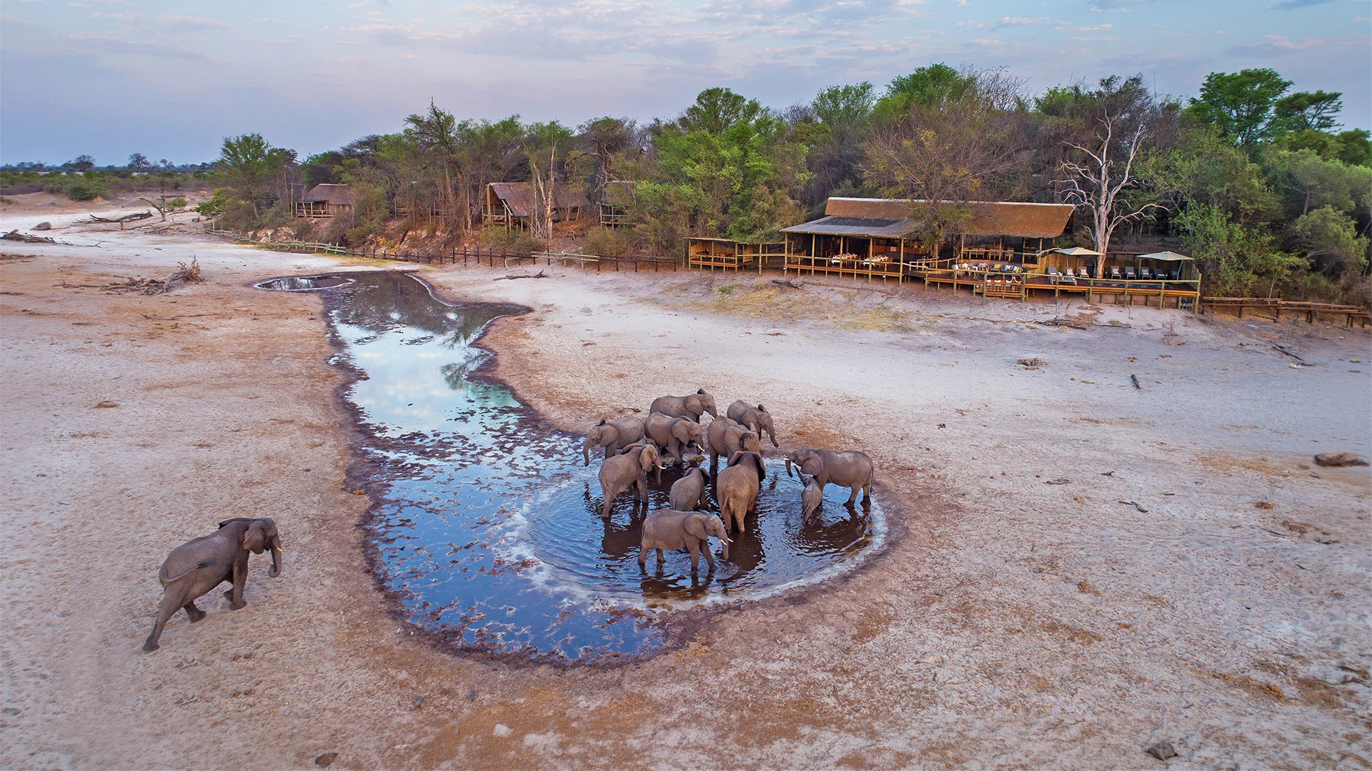 Aerial view of a herd of elephants gathered at a watering hole beside Savute Safari Lodge in the Savuti region of Chobe National Park, Botswana