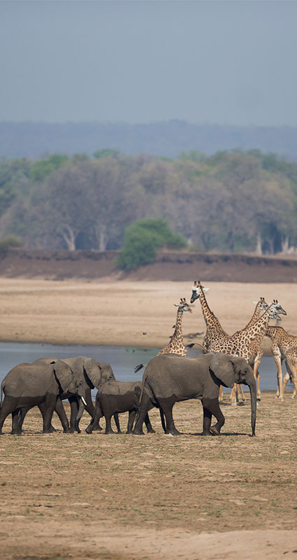 October safari in Africa