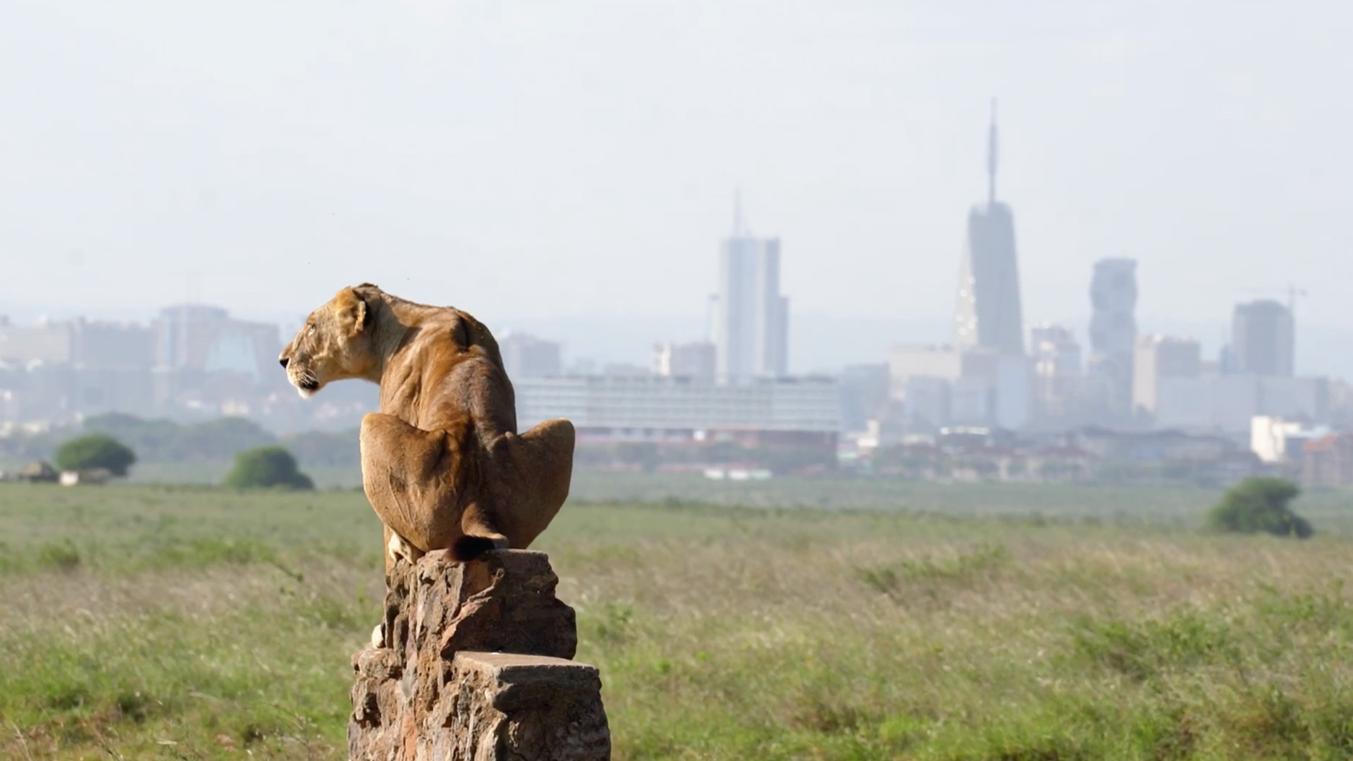 Nairobi National Park