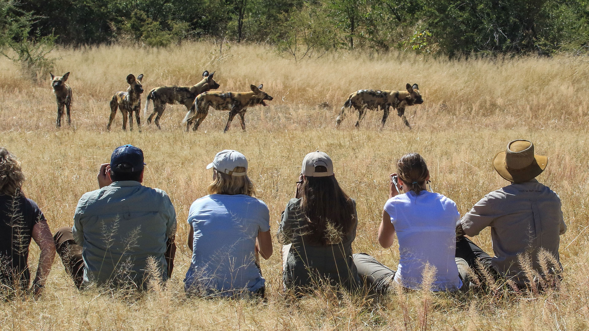 African safari