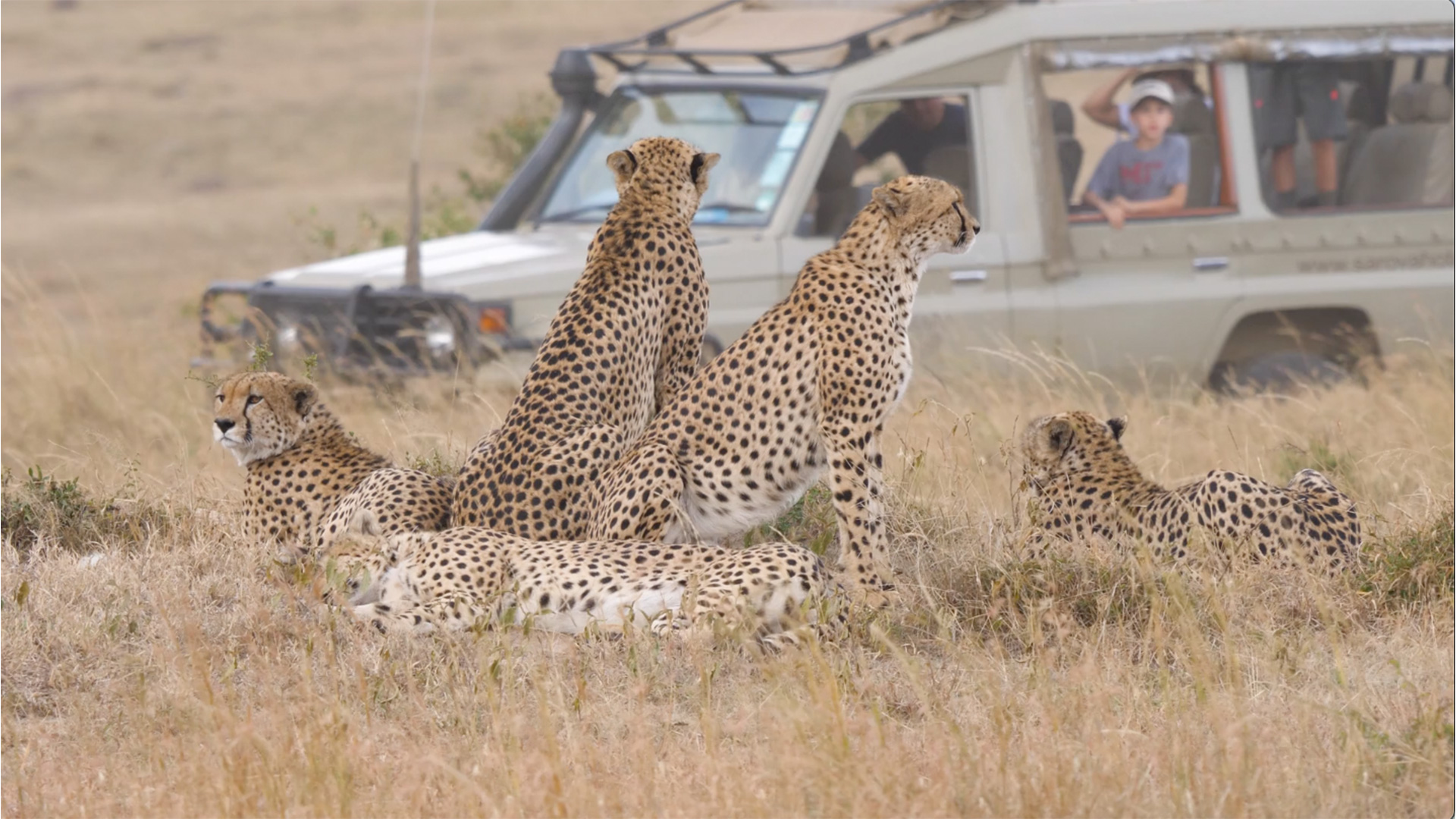 Family safaris