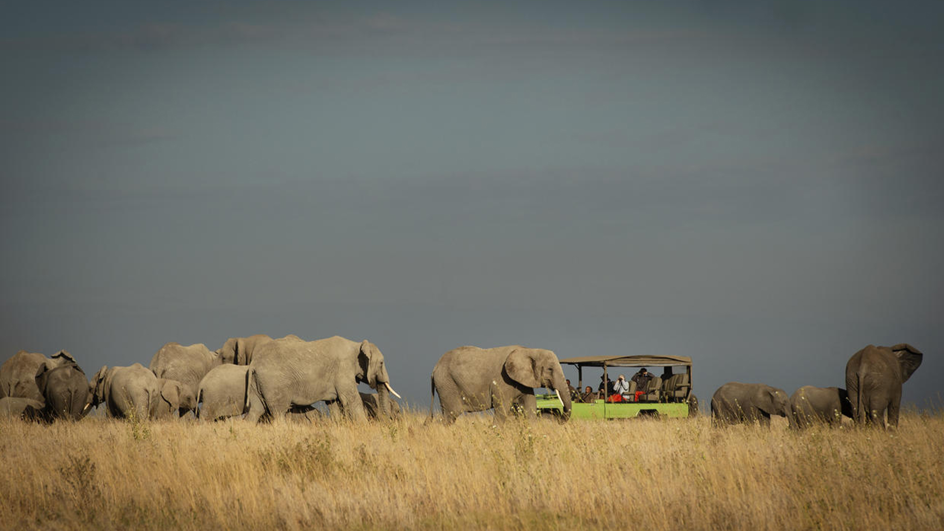 Luxury Tanzania safari