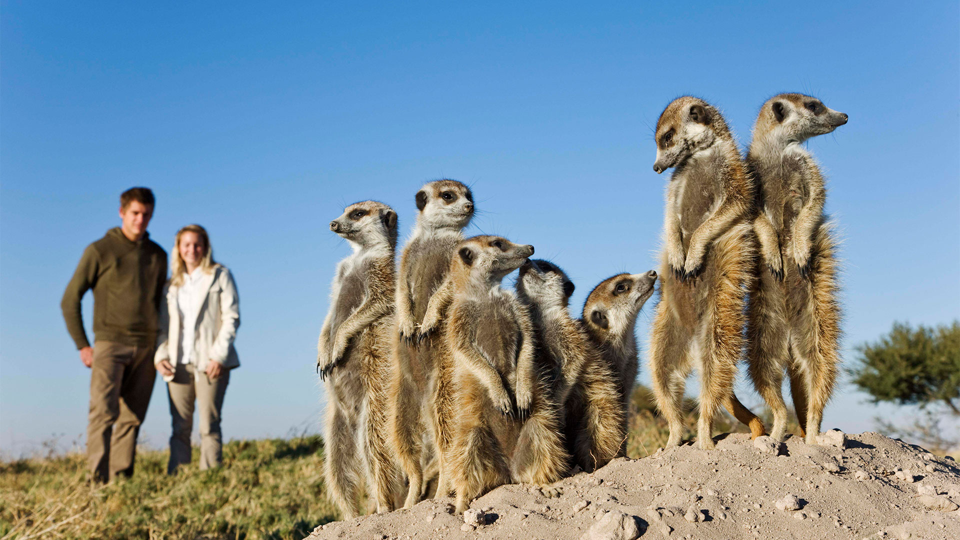 Makgadikgadi Pans Botswana