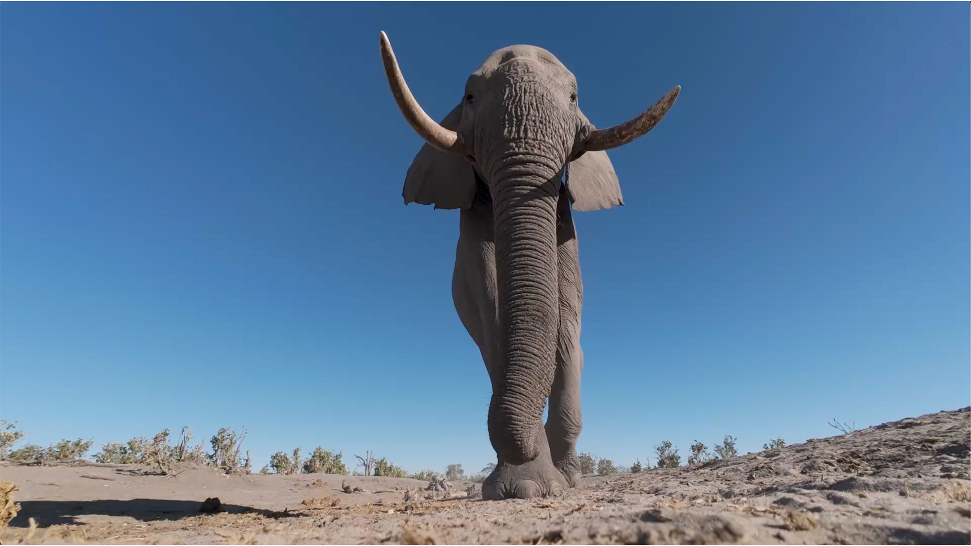 Luxury Big 5 safari
