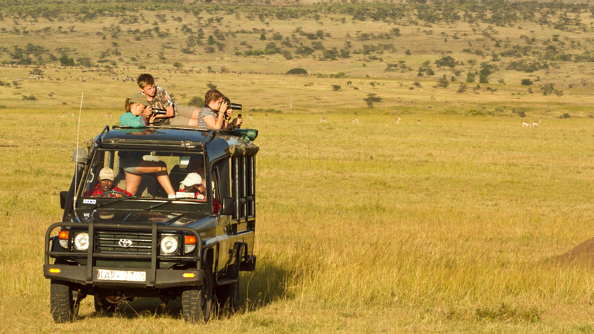 Kids on safari